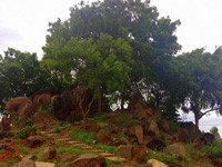 Plots in Hoskote Bangalore