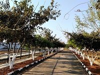 Plots for sale in Electronic City Bangalore